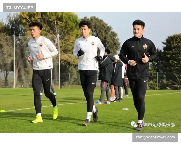 深圳末节防守强度提升 单节仅让对手得12分完成逆转